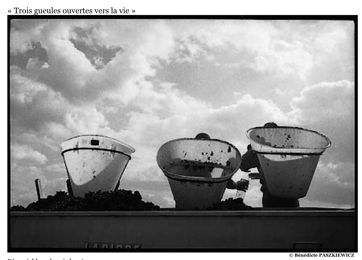 « Trois gueules ouvertes vers la vie »