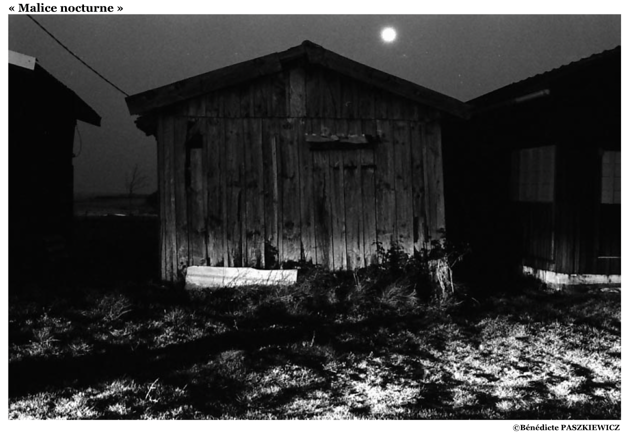 « Malice nocturne »