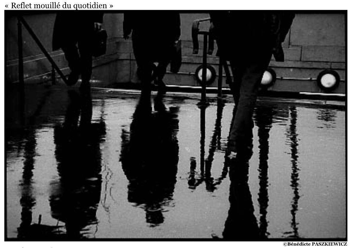 « Reflet mouillé du quotidien »